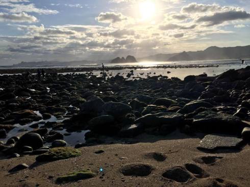 13516188_10157100852155302_7093034243074476887_n