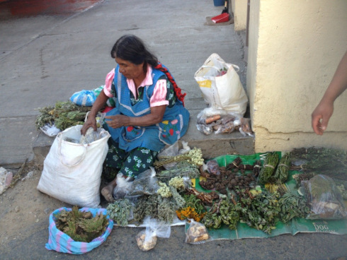 Street vendor at Oaxaca local market