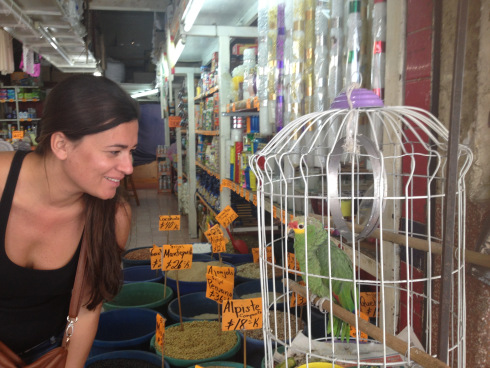 Making new friends in Cholula, Puebla